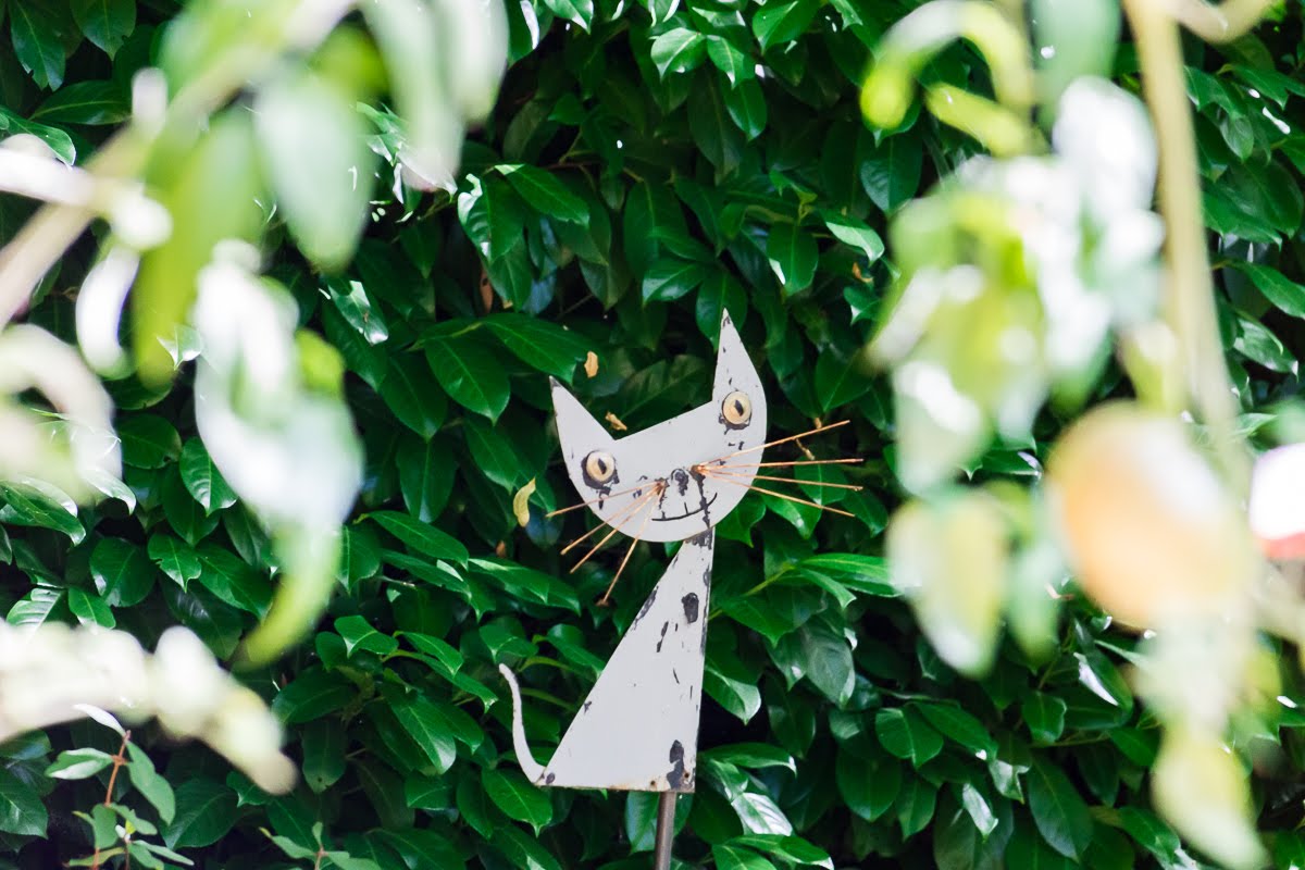 В саду В саду