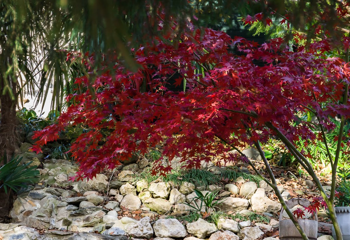 В саду В саду