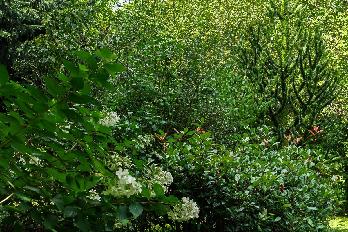 В саду В саду