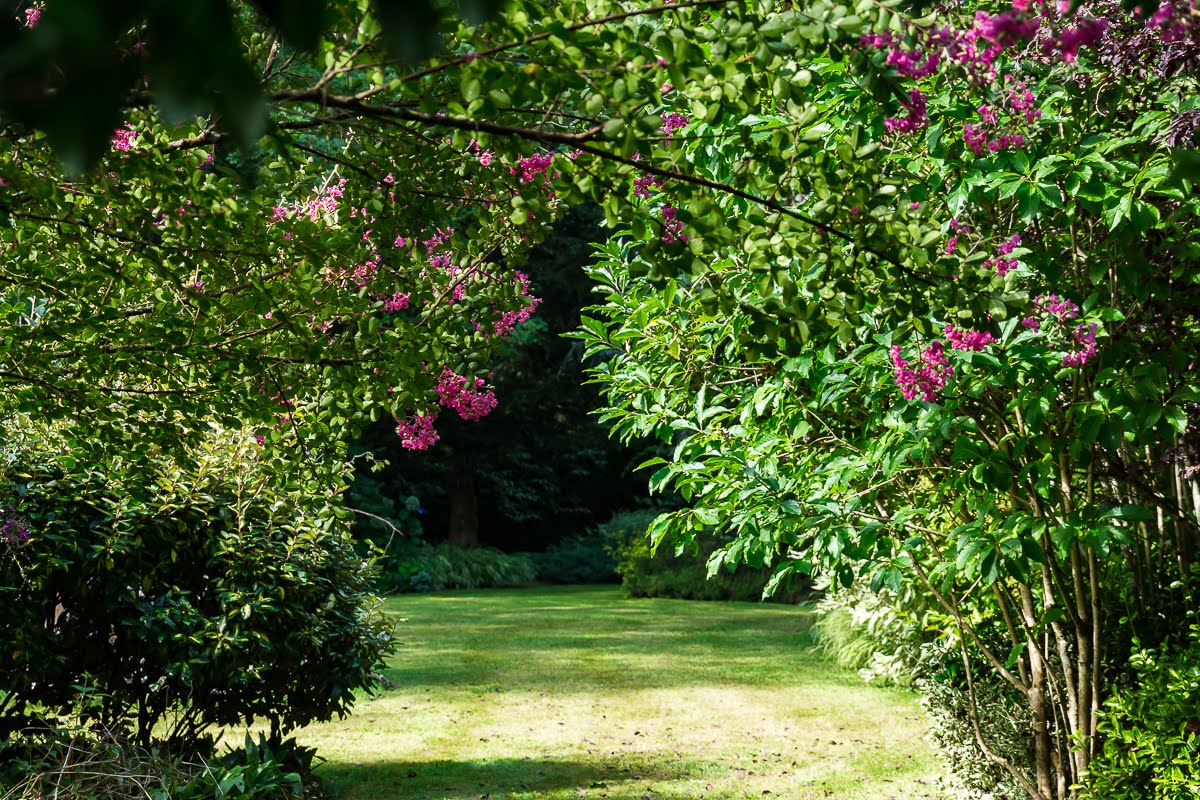 В саду В саду