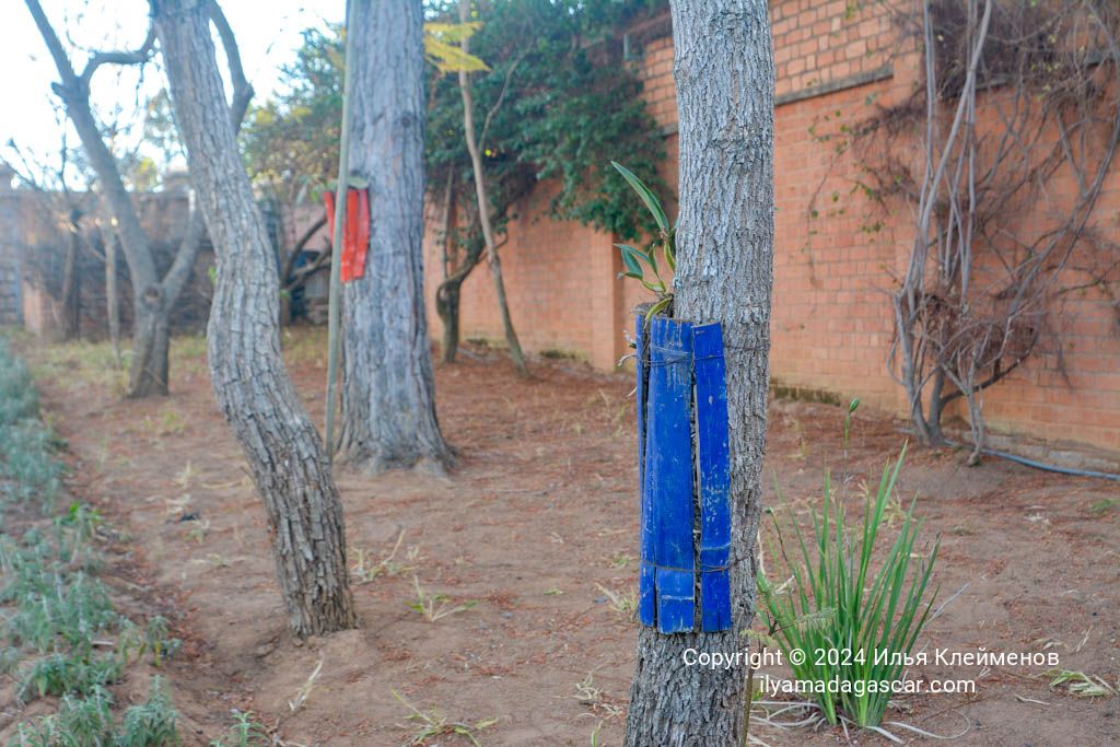 Вилла в столице Мадагаскара. Сколько стоит жилье в Антананариву 