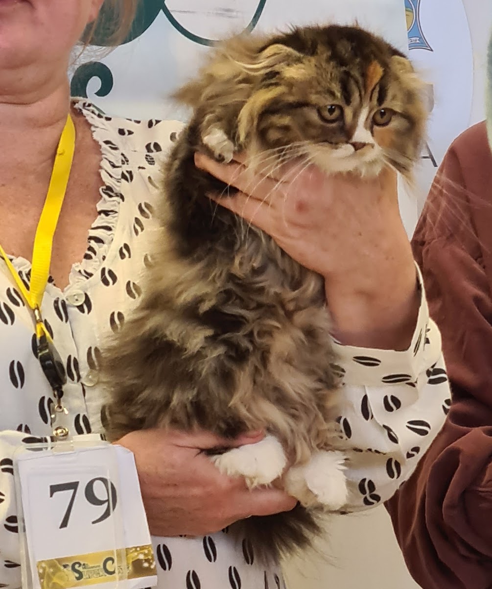 Вспомним хорошее Вспомним хорошее