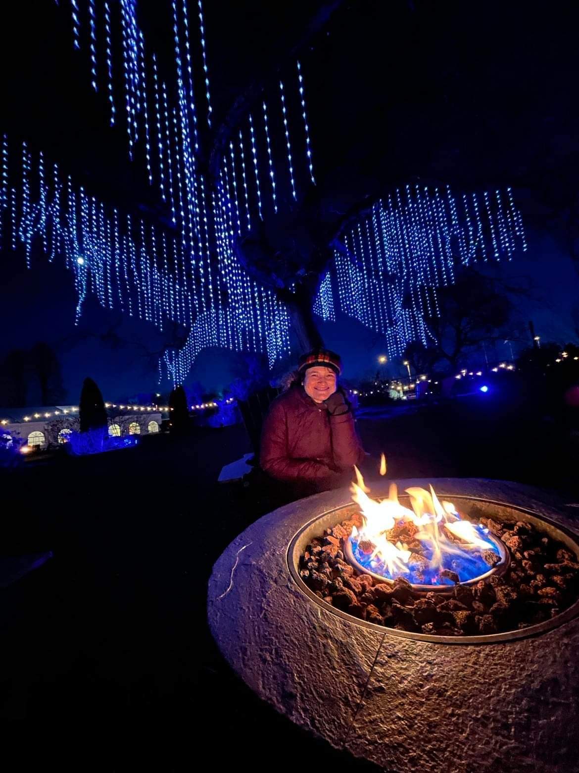 Winter Wonders in the Royal Botanical Gardens 