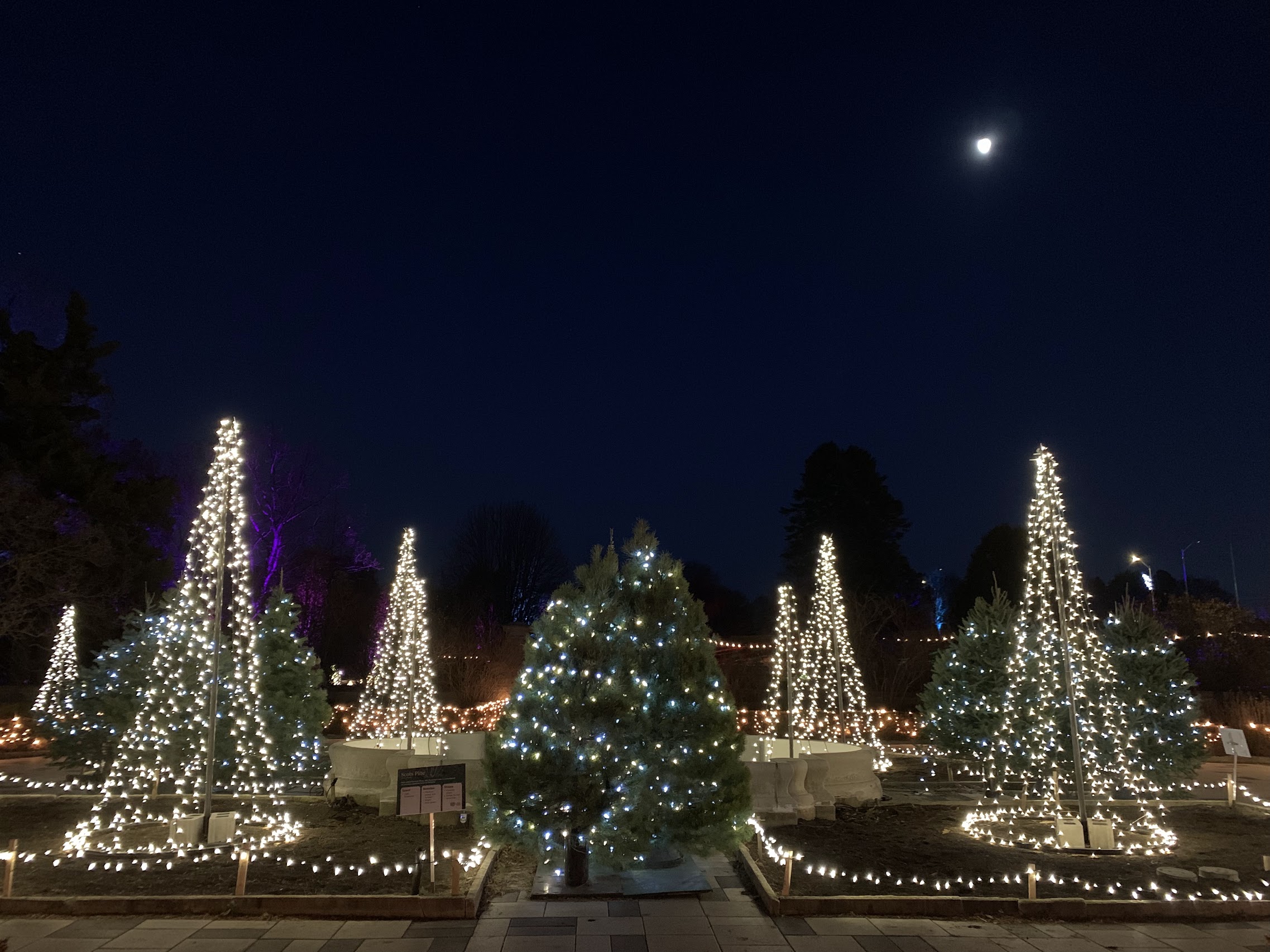 Winter Wonders in the Royal Botanical Gardens 