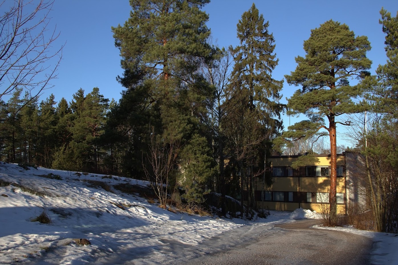 Январь на границе Хельсинки и Эспоо Январь на границе Хельсинки и Эспоо