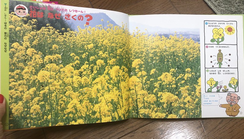 Японские детские книжки: не какашкой единой IMG_7834