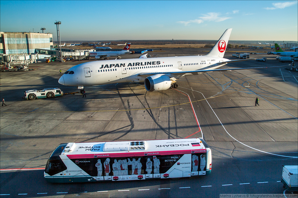 Юбилей с большой буквы Ю! Dreamliner B787 JAL