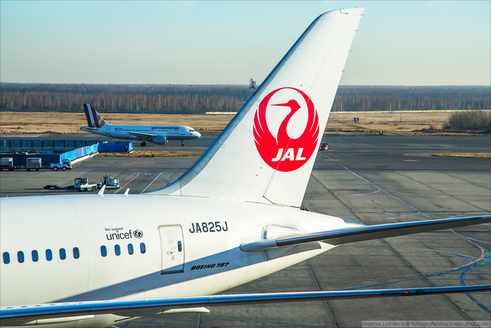 Юбилей с большой буквы Ю! Dreamliner B787 JAL