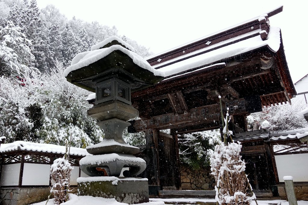 Зимний Киото: дикая удача и жуткое невезение 