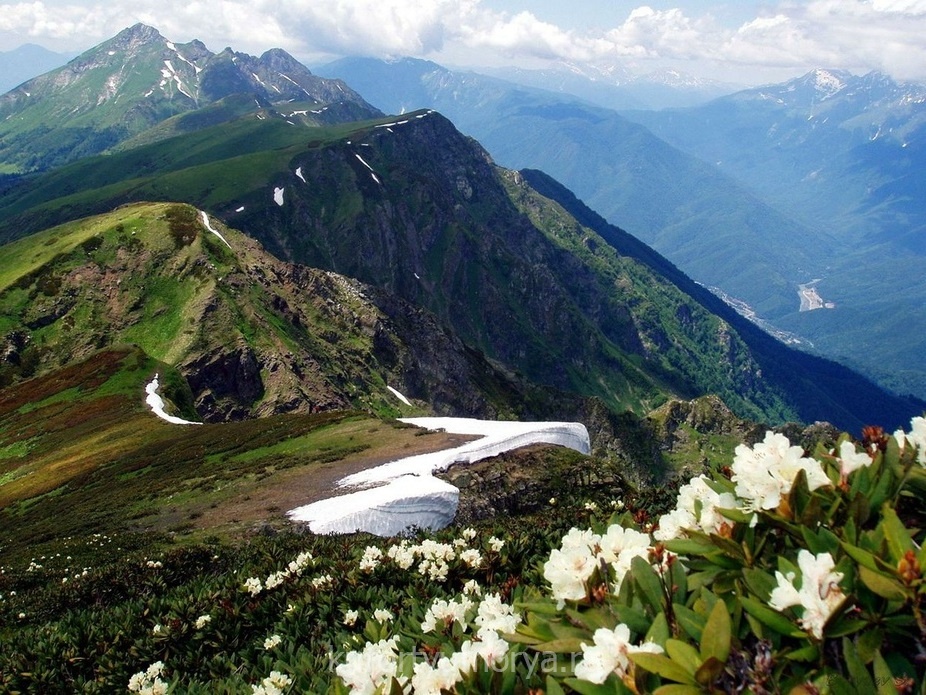 Альпийские Луга Кавказа