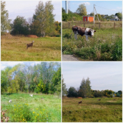 рейтинг блогов