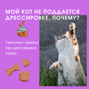 рейтинг блогов