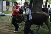 рейтинг блогов