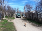 рейтинг блогов