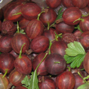 рейтинг блогов