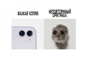 рейтинг блогов
