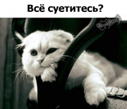 рейтинг блогов