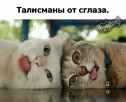 рейтинг блогов