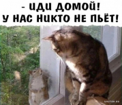 рейтинг блогов