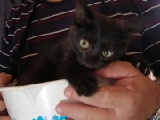 рейтинг блогов