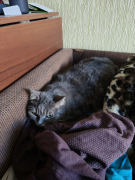 рейтинг блогов