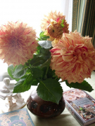 рейтинг блогов