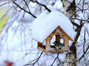 рейтинг блогов