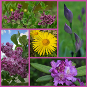 рейтинг блогов