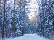 рейтинг блогов