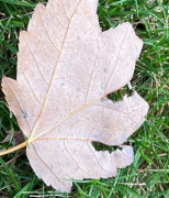 рейтинг блогов