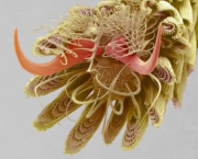 рейтинг блогов