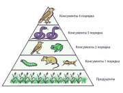 рейтинг блогов