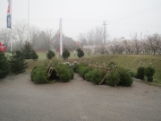 рейтинг блогов