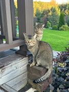 рейтинг блогов