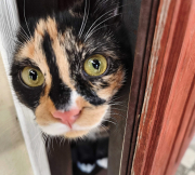 рейтинг блогов