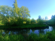 рейтинг блогов