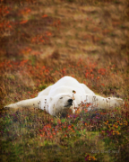 рейтинг блогов