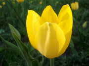 рейтинг блогов