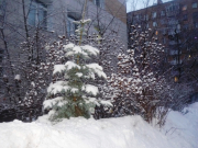 рейтинг блогов