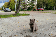 рейтинг блогов