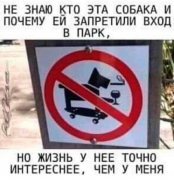 рейтинг блогов