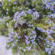 рейтинг блогов