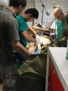 рейтинг блогов