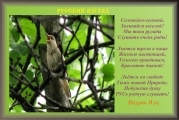 рейтинг блогов