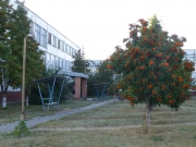 рейтинг блогов