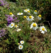 рейтинг блогов