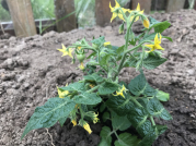 рейтинг блогов