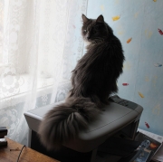 рейтинг блогов