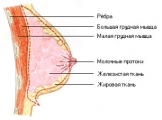 рейтинг блогов