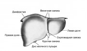 рейтинг блогов